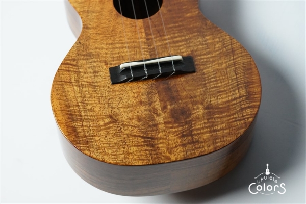 ECO-C+ - Koa